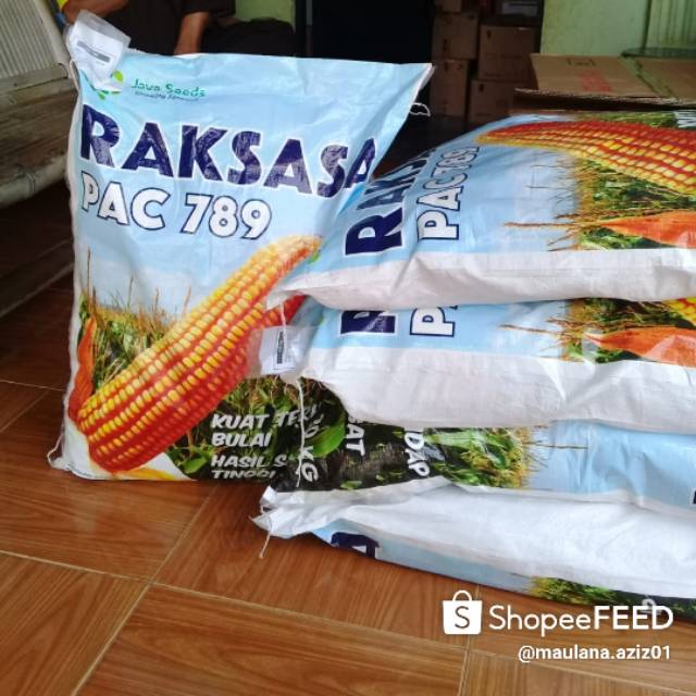 Benih jagung PAC 789 "RAKSASA"