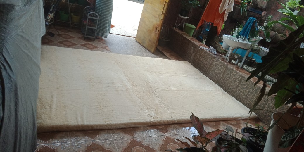 [jumbo Size] Karpet Bulu Tebal 6,5cm Ukuran 300x200cm