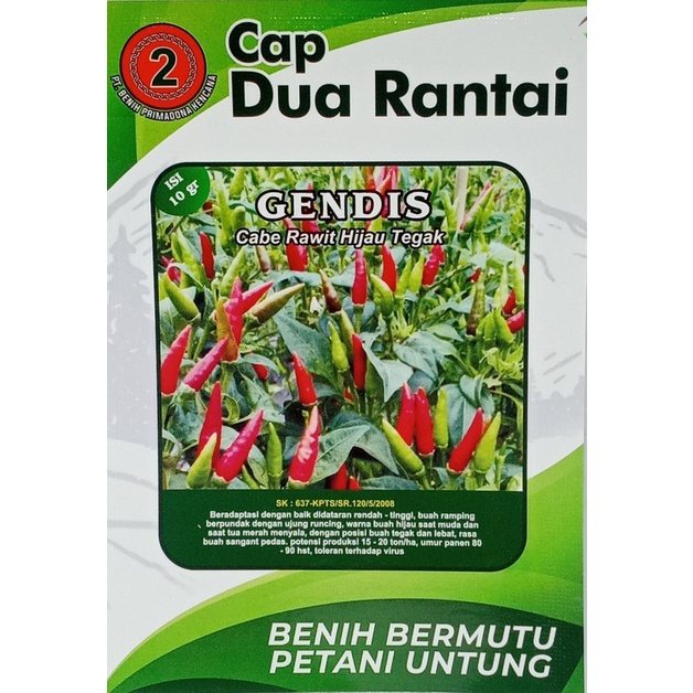 Biji Bibit Benih cabe rawit buah bergerombol, unggul cabai hijau cabai rawit unggul