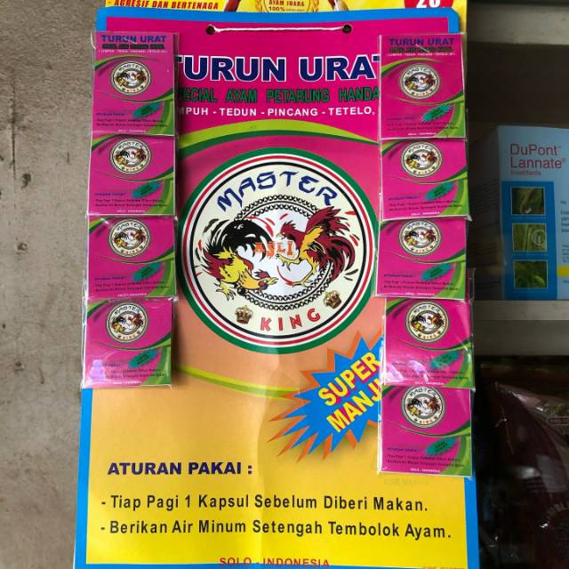 

TURUN URAT AYAM