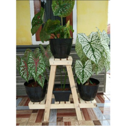 rak bunga kayu susun murah minimalis / pot bunga kayu minimalis / tempat pot tanaman hias, isi 4 pot