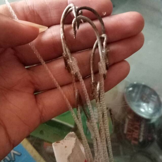 urek besar belut sidat lubang