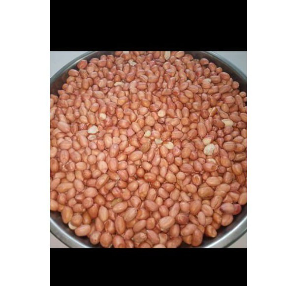 

kacang tanah / groundnut 100 gr