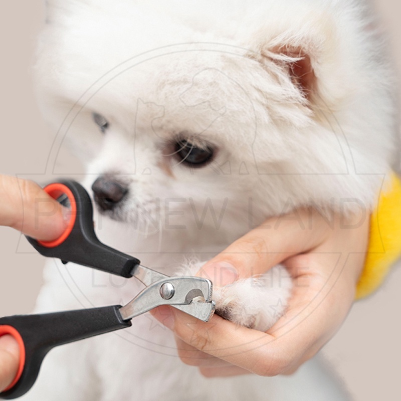 Gunting Kuku Murah Kucing Anjing Stainless Steel Pemotong Kuku Persediaa Hewan Peliharaan