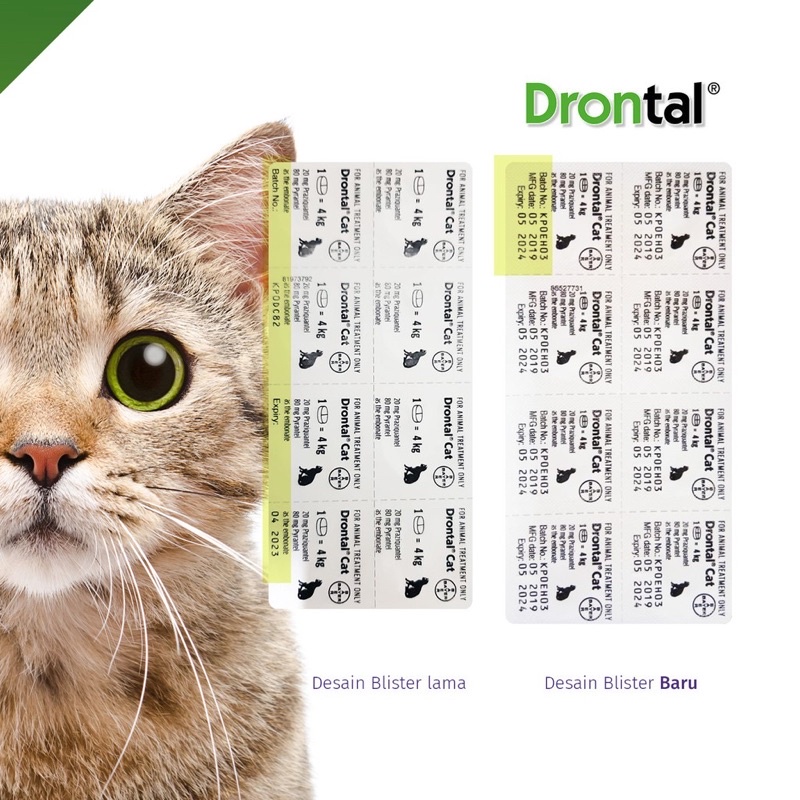 Drontal cat asli original obat cacing kucing 1 tablet drontal bayer