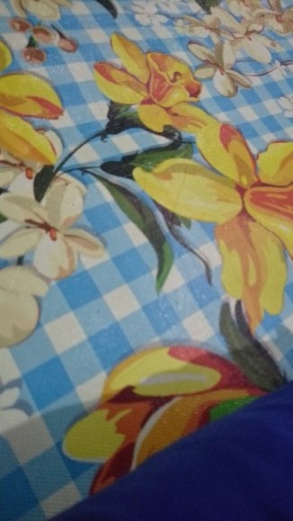 ❤baru❤kantong Plong Pelangi 15x22cm . Kantong Pond Oval . Plong Oval Kantong Olshop Online Shop