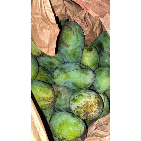 

promo mangga harum manis 1kg termurah