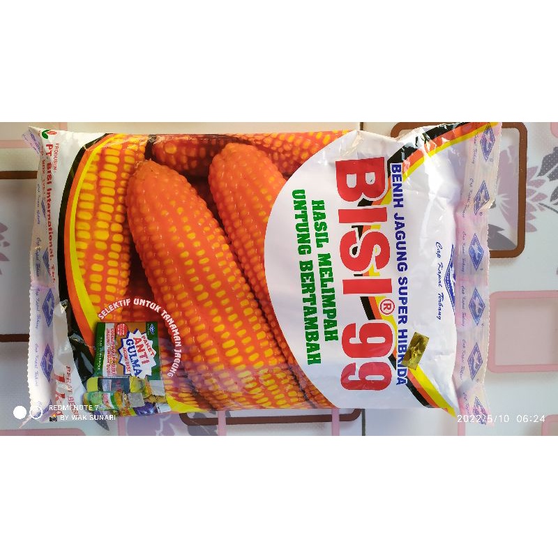 Bisi 99 benih jagung