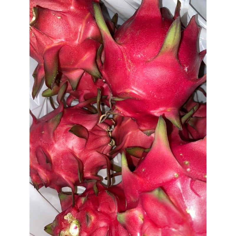 

Buah Naga Merah 1kg