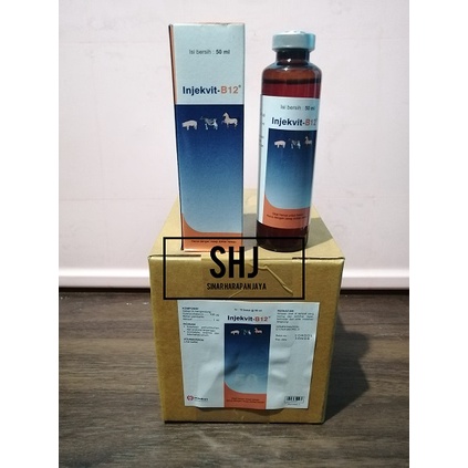 INJEKVIT B12/INJEKSI VIT B12 50 ML