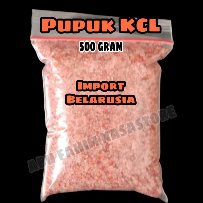 PUPUK KCL IMPORT BELARUSIA 500 GRAM / KCL SASCO IMPORT BELARUSIA / PUPUK BUNGA PUPUK BUAH