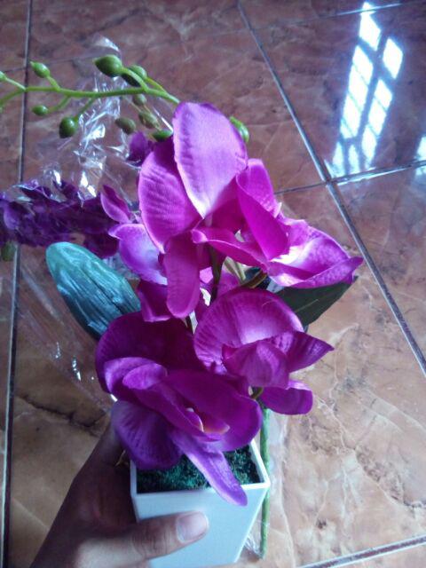 Anggrek Meja Artificial K7