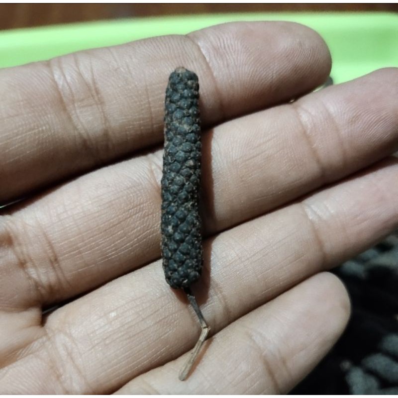 

Cabe jamu hitam
