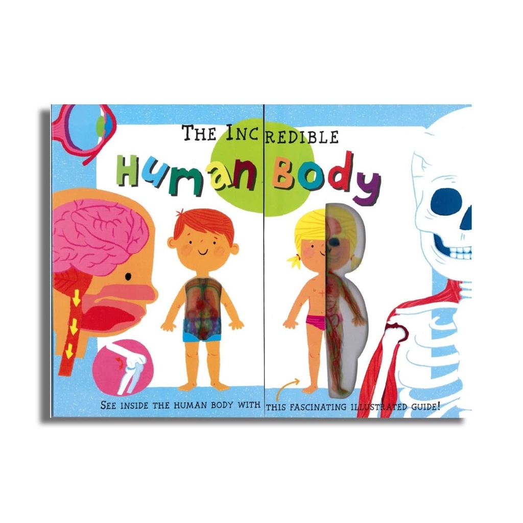 MY FIRST BOOK OF THE HUMAN BODY