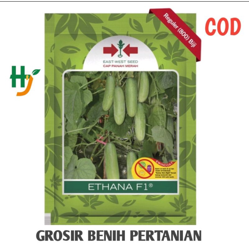 BENIH TIMUN ETHANA PANAH MERAH /Benih Mentimun Ethana F1 Isi 800 Biji dari Cap Panah Merah
