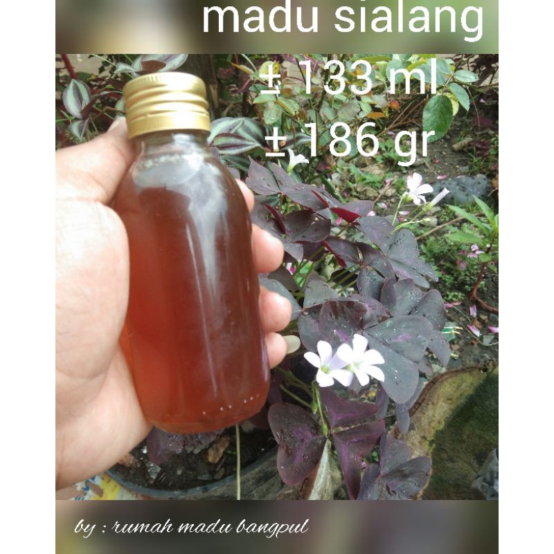 

madu murni asli pedalaman hutan rimba