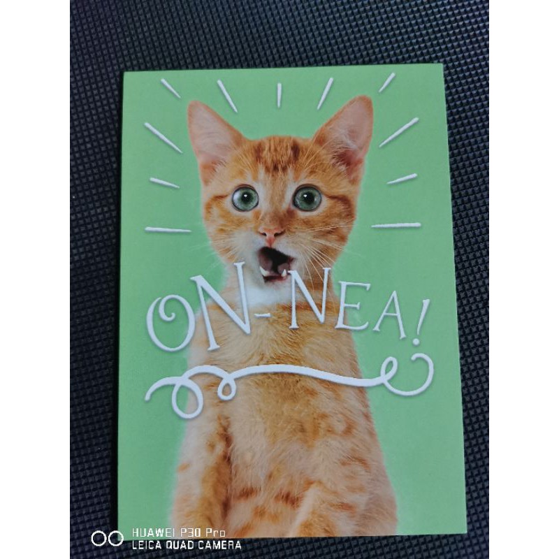 

kartu pos kucing/cat postcard
