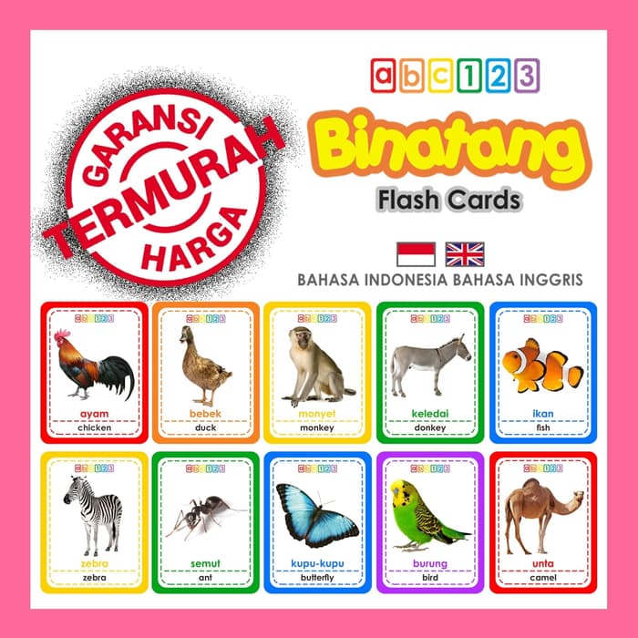 Flash Card Binatang Darat Air Udara Kartu Belajar Hewan Fauna Animal Shopee Indonesia