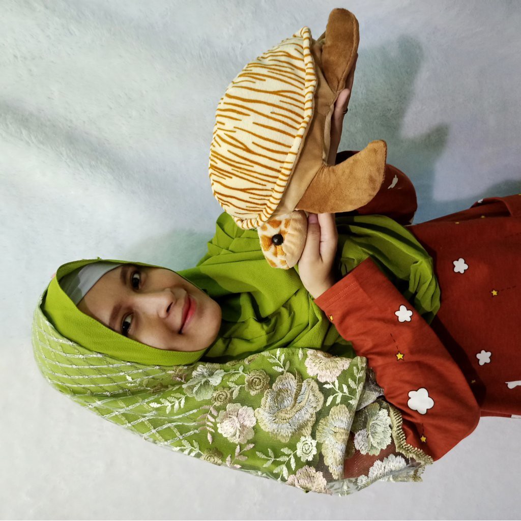 Boneka Kura Kura M Murah