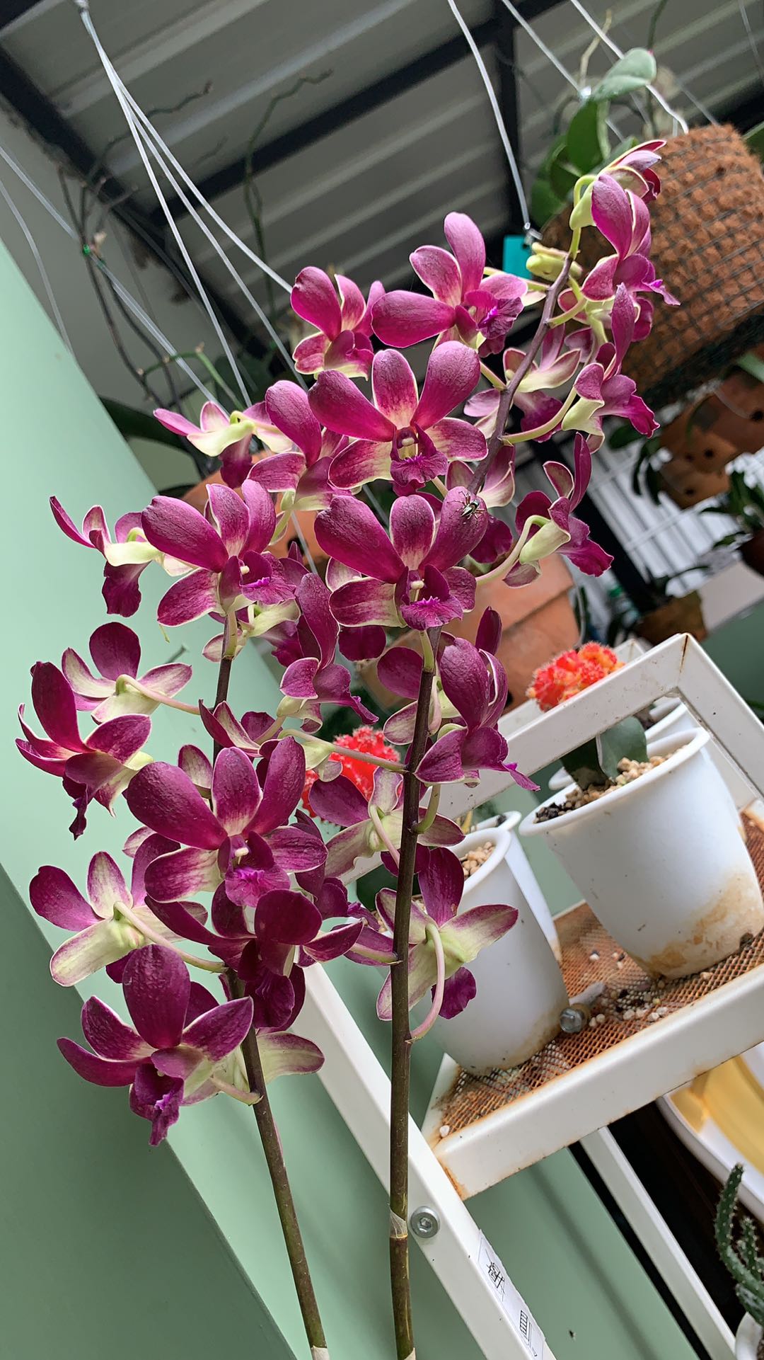 Tunik Batik Bordir/outer Batik/batik Kantor