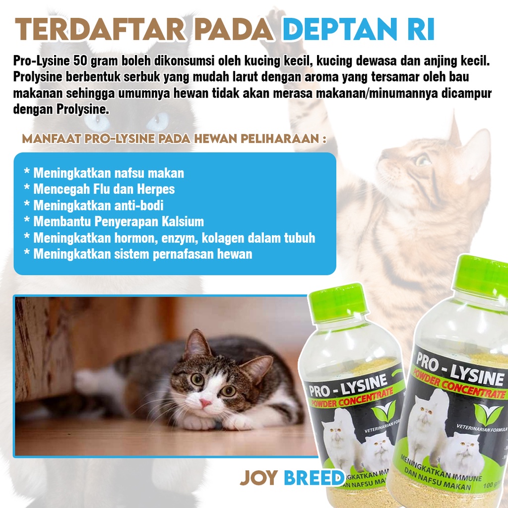 VITAMIN PENAMBAH IMUNITAS DAN NAFSU MAKAN KUCING PRO LYSINE 50 GRAM