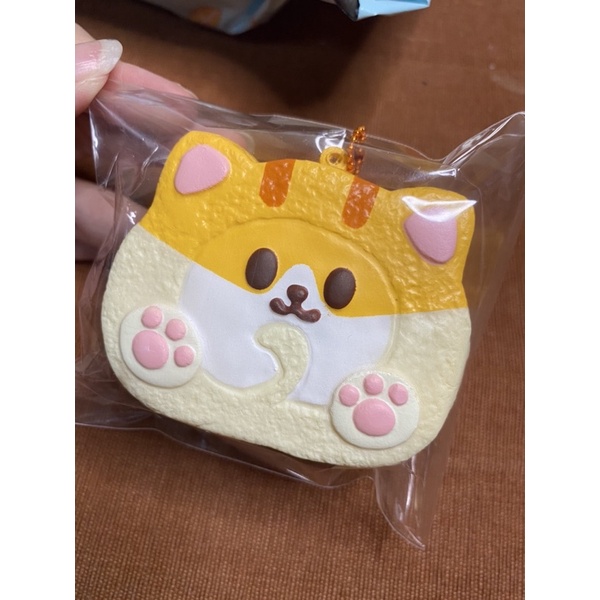 ibloom Nyan nyan rollcake || perf condition
