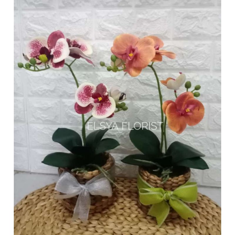 

anggrek lateks premium