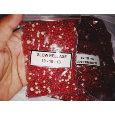 10.10 BIG SALE Pupuk merah Osmocote 19-10-13 +2.5MgO + TE 50 gram dekastar