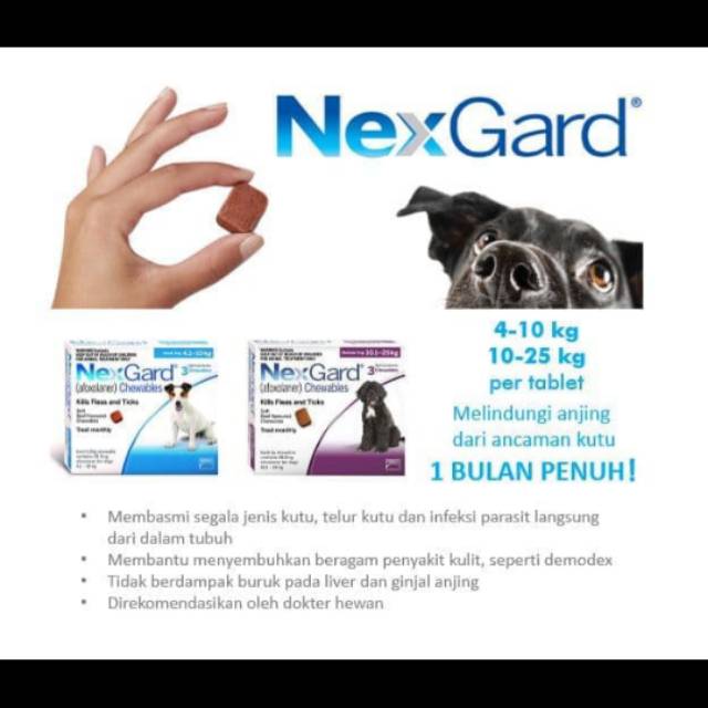 obat kutu anjing nexgard murah