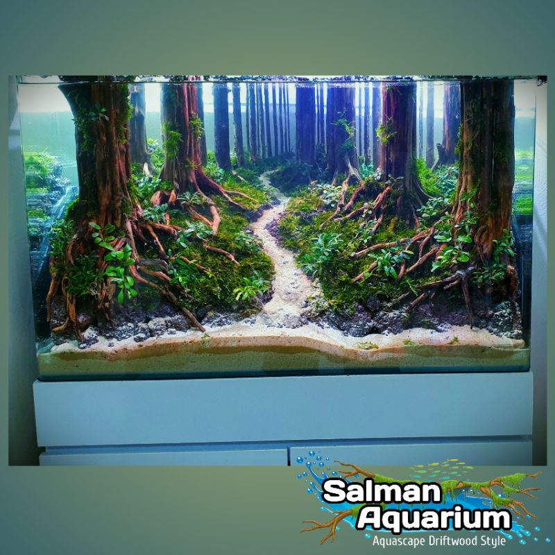 hardscape untuk tank 60cm aquascape/aquarium