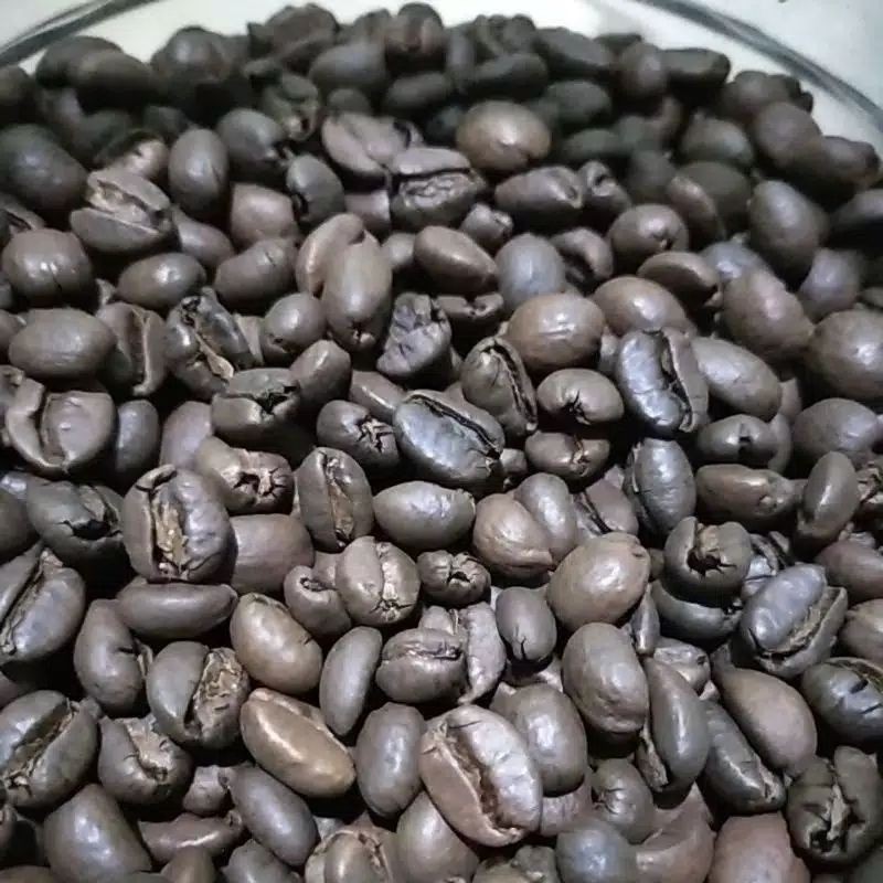 Biji Sangrai Kopi Excelsa Liberika Kopi Nongko Temanggung 500gram