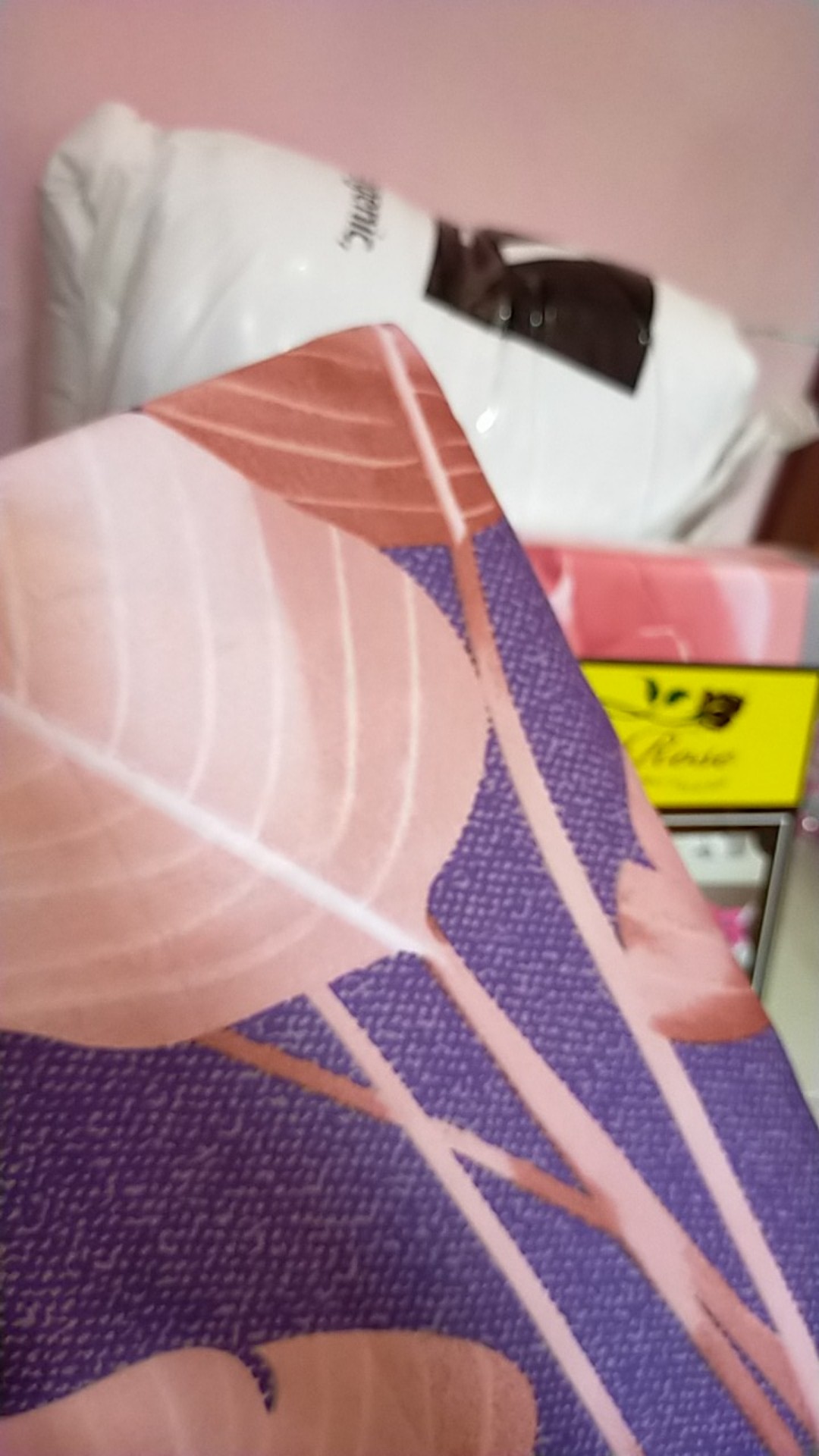 Rc Sprei Lady Rose Queen Ukuran 160x200 Harga Terjangkau Motif Cute