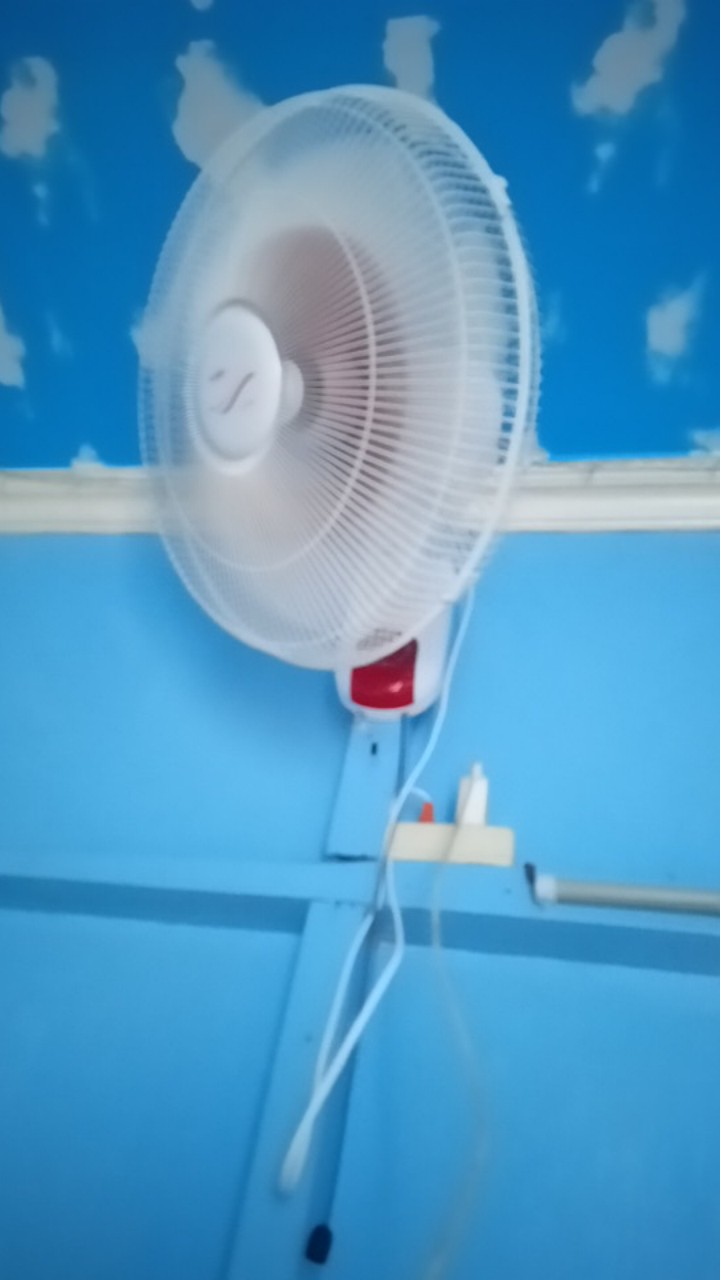 Sarung Tangan Plastik Merk Sumo / Cleany Sekali Pakai Isi 100