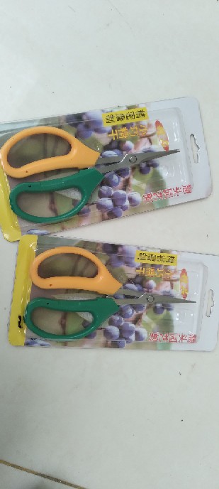 Gunting Bonsai Pruning Daun Akar 2 Warna Murah