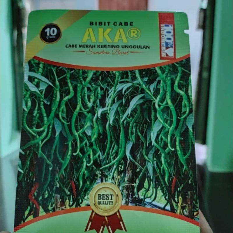 CABE AKAR / CABAI AKAR /Cabai Keriting AKAR Super tahan virus lokal sumatera barat