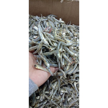 

teri kacang bulat