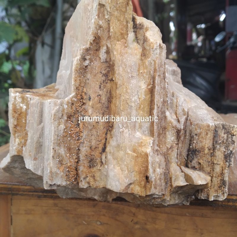 batu fosil kayu aquascape