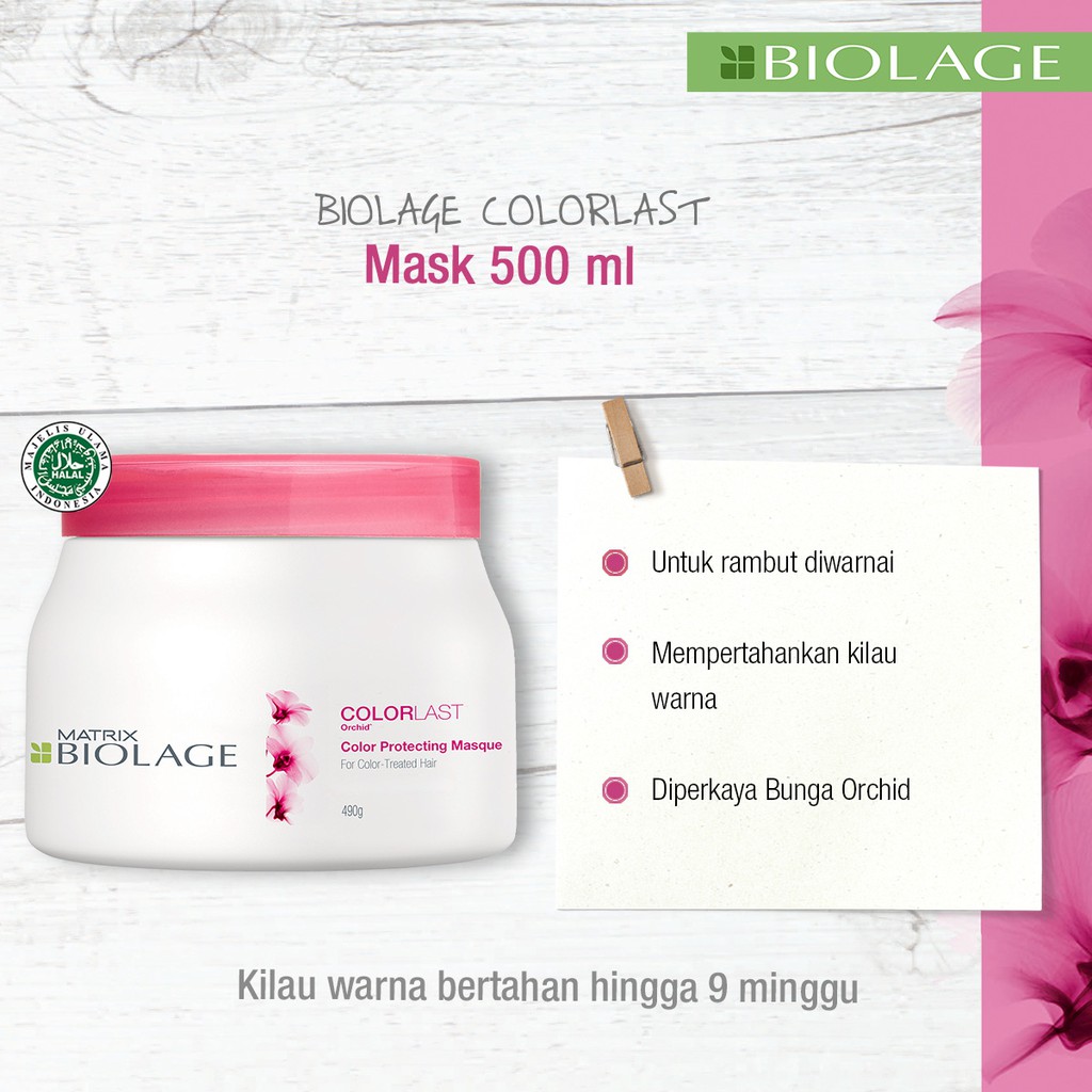 MATRIX BIOLAGE COLORLAST MASK 500ML