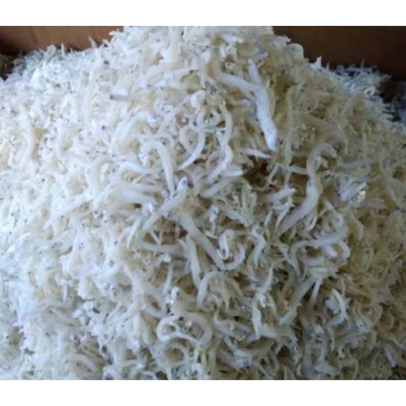 

Ikan teri nasi medan