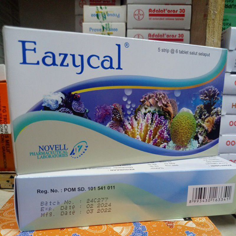 eazycal suplemen ibu hamil / box 30 tablet