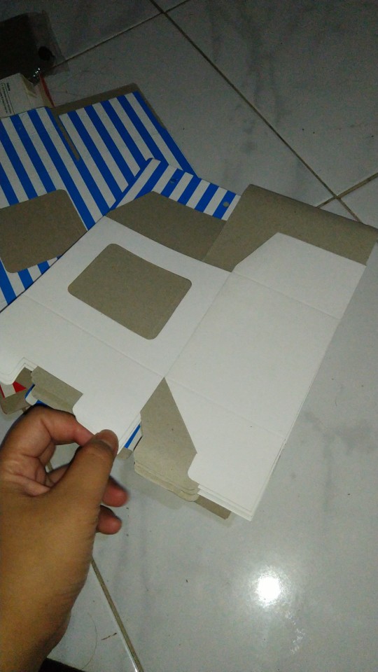 Box Mug Warna Strip / Garis