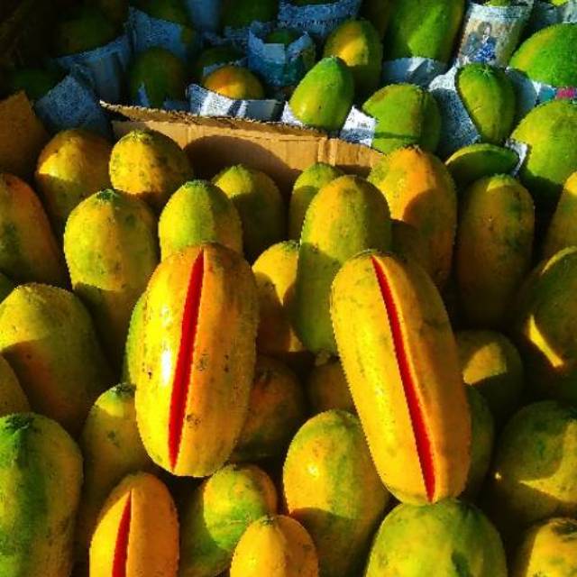 

Pepaya