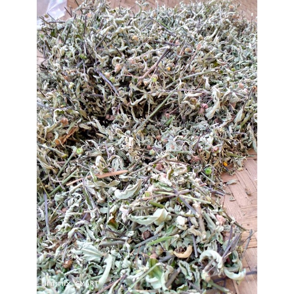 

daun sidaguri kering 1kg