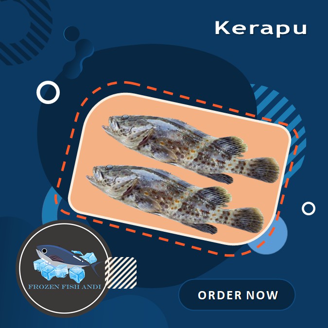 

Ikan kerapu susu segar laut
