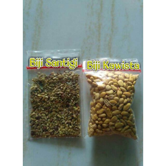 Biji Bonsai Mix Biji Bonsai Santigi Karang & Biji Bonsai Kawista Batu termurah