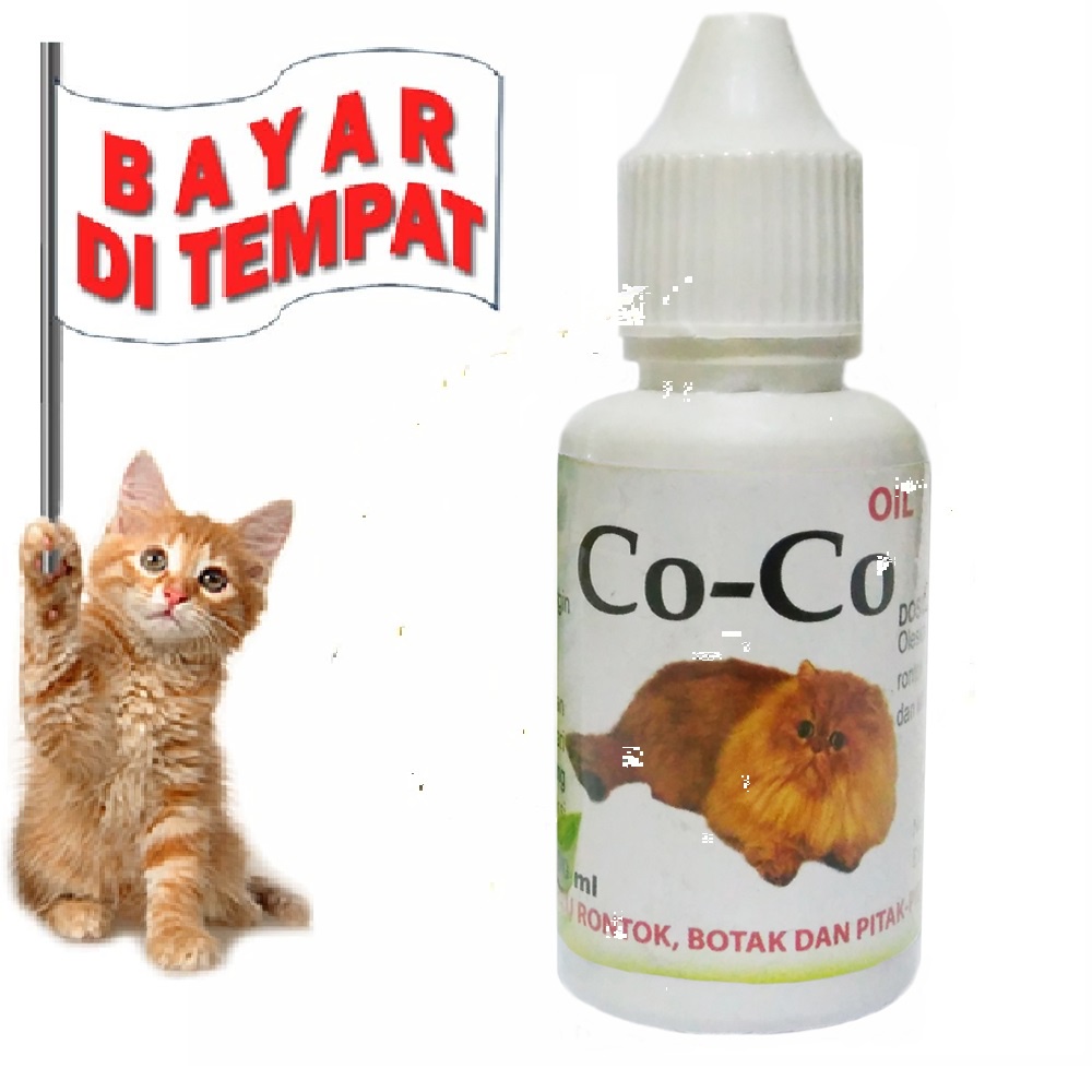 CO -CO- OIL OBAT KUCING BULU BOTAK PITAK OBAT KUCING BULU RONTOK AMPUH PENUMBUH BULU  TERMURAH