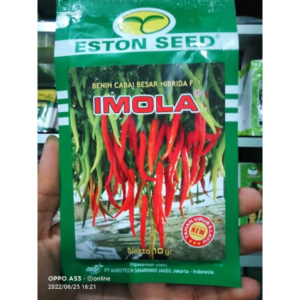 IMOLA NEW benih cabai besar hibrida f1