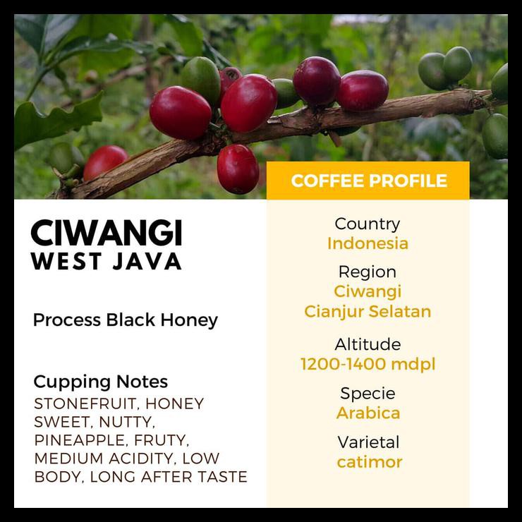 

iip7 biji kopi arabika ciwangi black honey - manual brew northsider zurd
