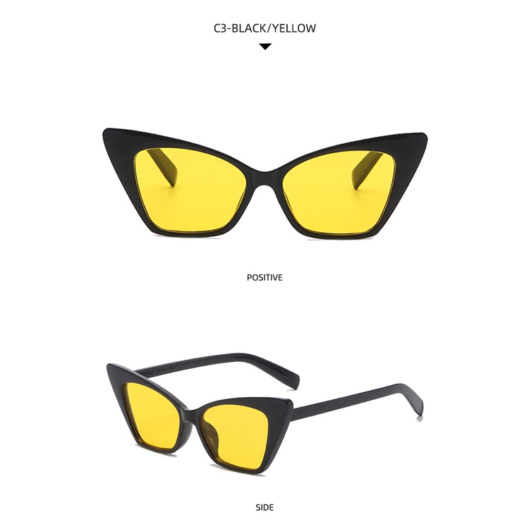 2021 new European and American cat's eye fashion INS simple sunglasses