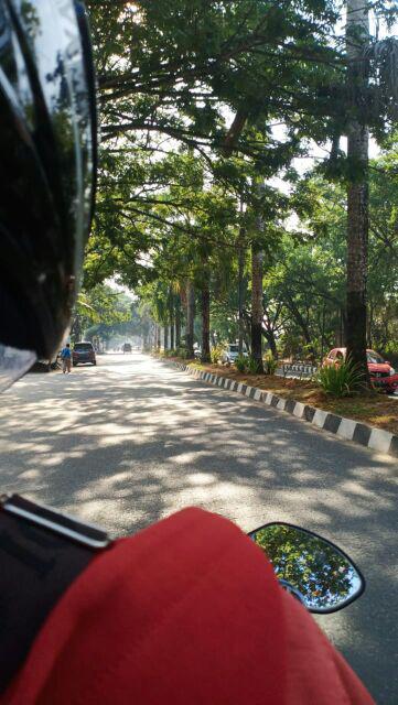 Ajibhanu Kemeja Batik Pria Full Furing Katun Primisima Batik Solo Batik Pria Eksklusif Modern